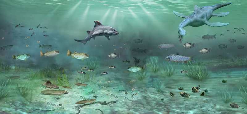 ������������Ⱥ�����������������ϵĸ��Ӻ�����̬ϵͳ