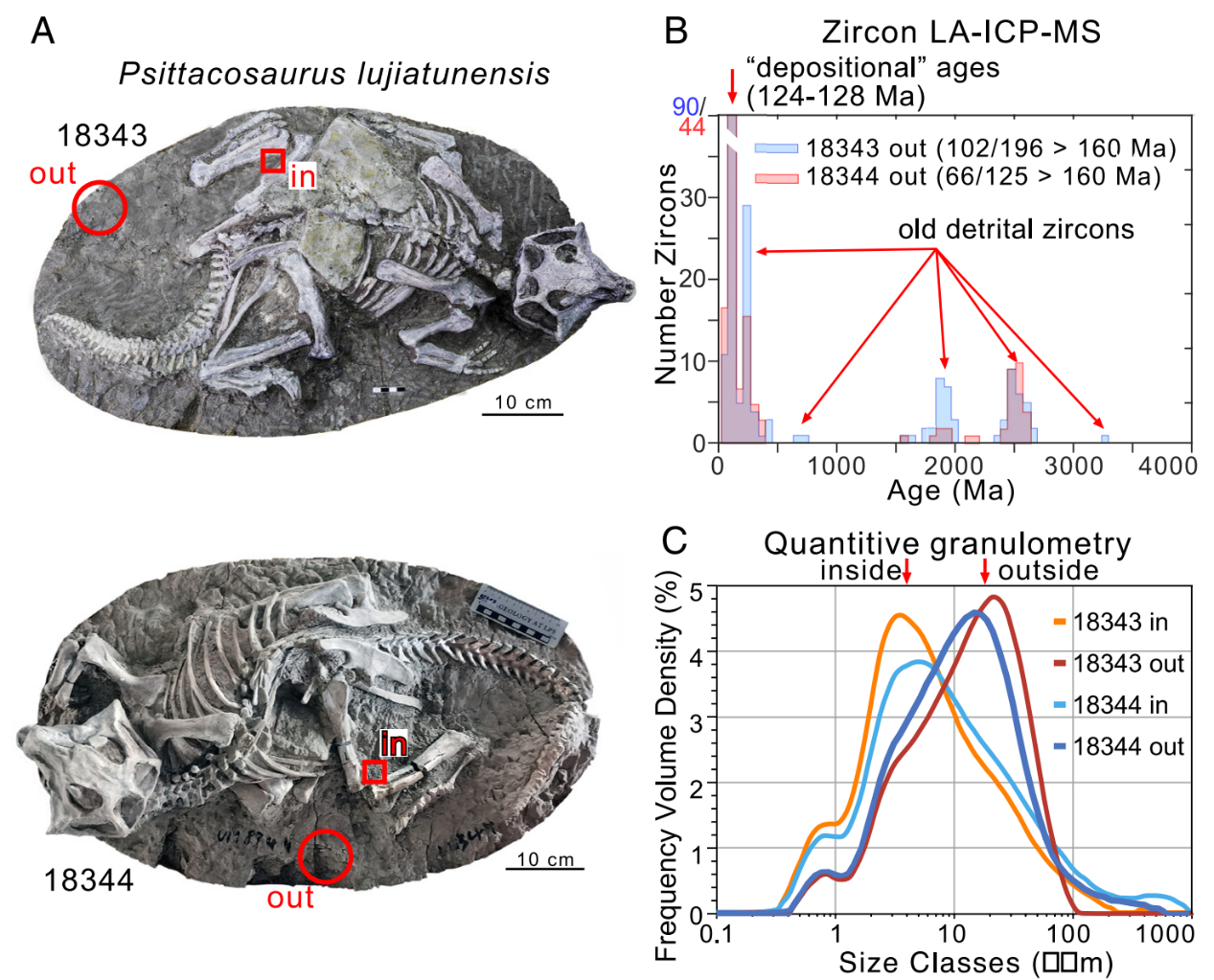 高精度年代学和沉积学揭示白垩纪热河生物群化石特异埋藏原因