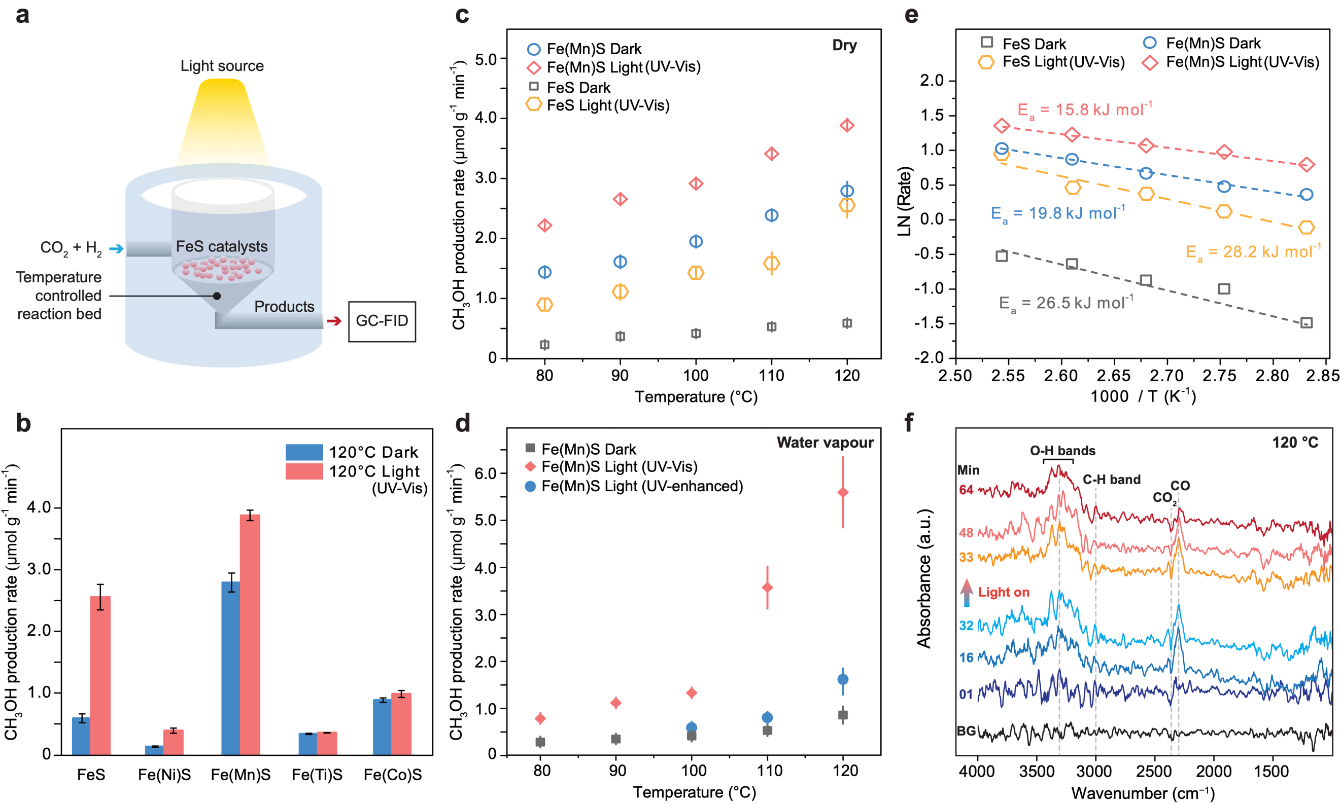模拟实验揭示铁硫化物在早期地球陆地热泉生命起源中的潜在作用