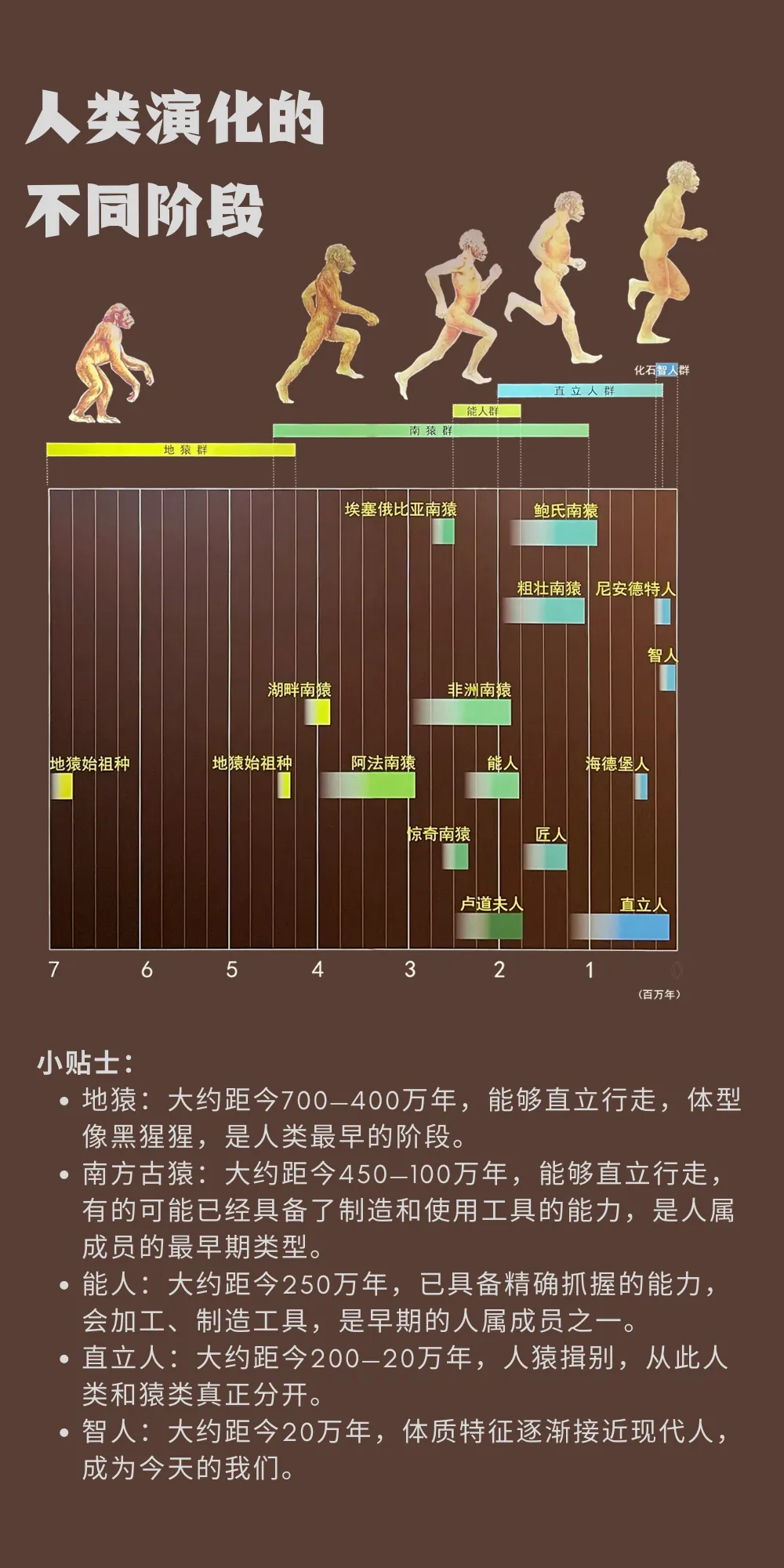 ����Գ��ͷ�ǹǷ���95���꣬�з�������Ӱ�����߽��ܿڵ���ַ