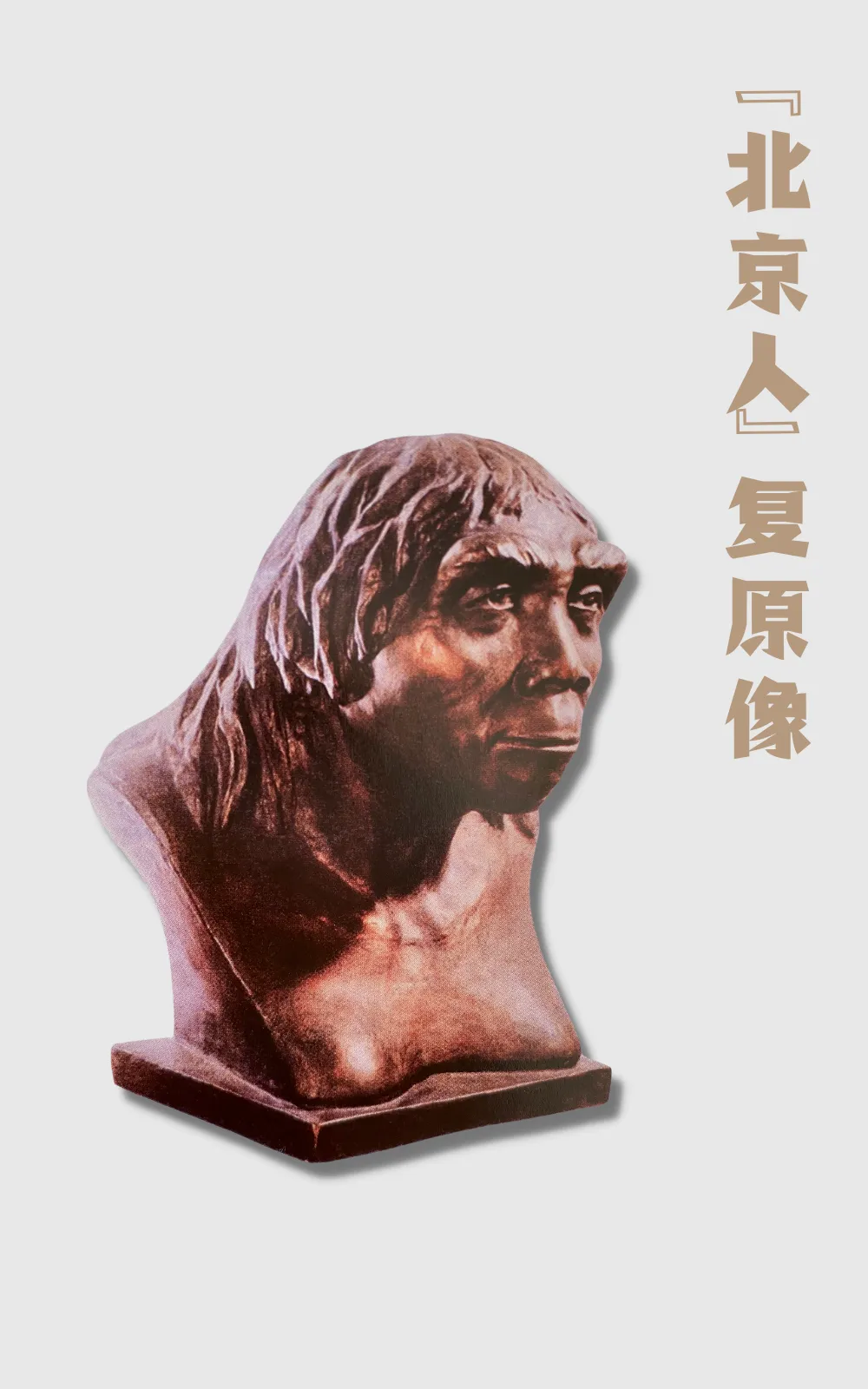 ����Գ��ͷ�ǹǷ���95���꣬�з�������Ӱ�����߽��ܿڵ���ַ