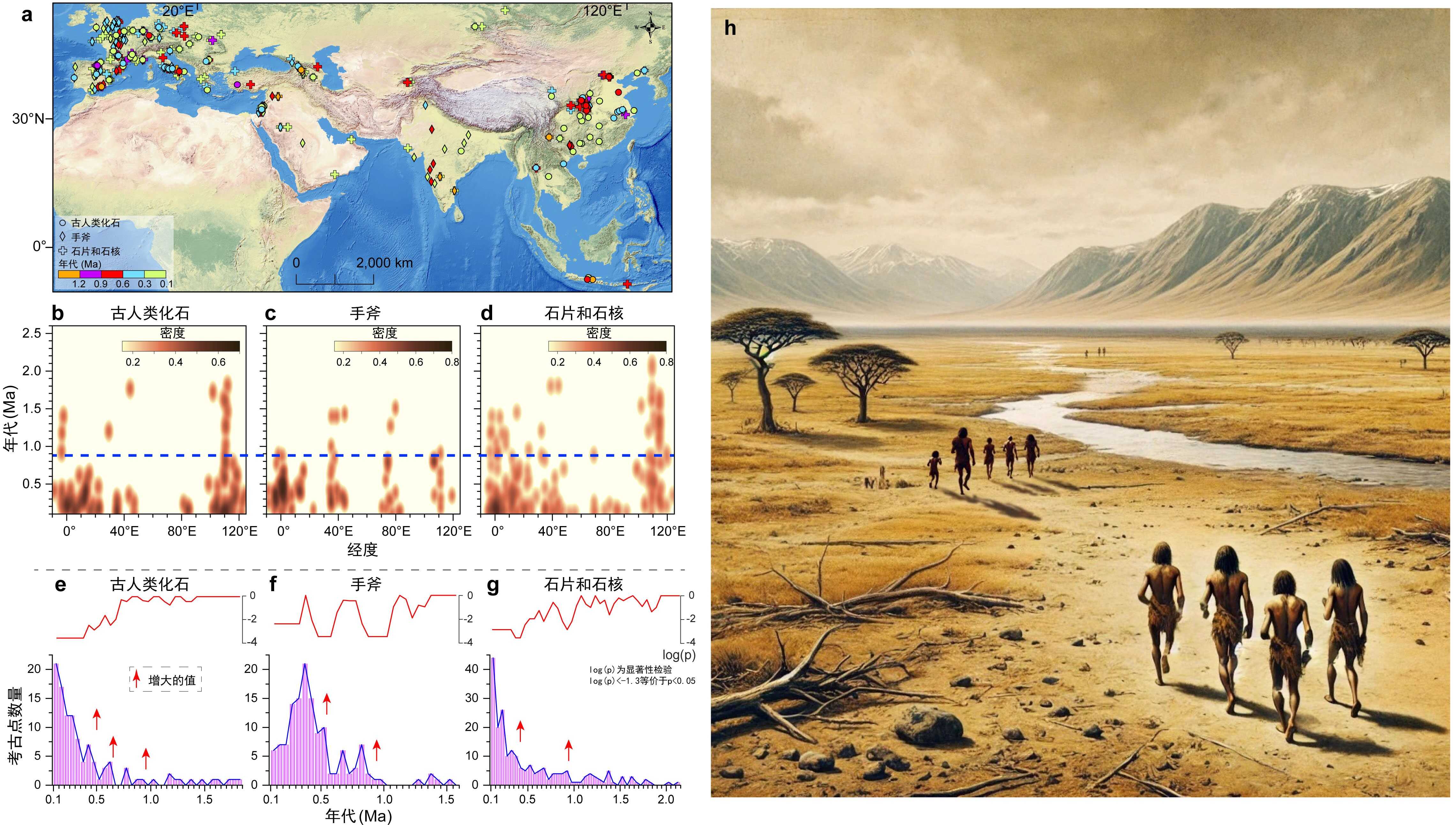 �и������ɺ����͵�ò���۱�Ǩ��ʹŷ�Ǵ�½��������ɢ