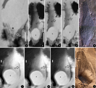 ���ϡ�ʱ�ջ����ġ�������ѧ���������ݴ�ѧ�������ʦ����һ�ſ�