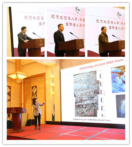 �����Գ�˵�1ͷ�ǹǷ���95������ʹ�����ѧѧ�����ֻ�ɹ��ٿ�