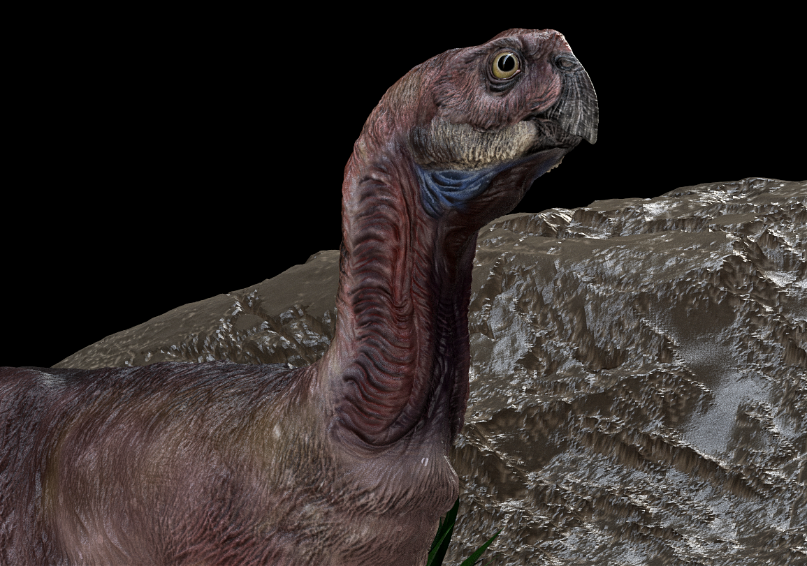 内蒙古发现窃蛋龙类恐龙新属种——百年鸳鸯龙