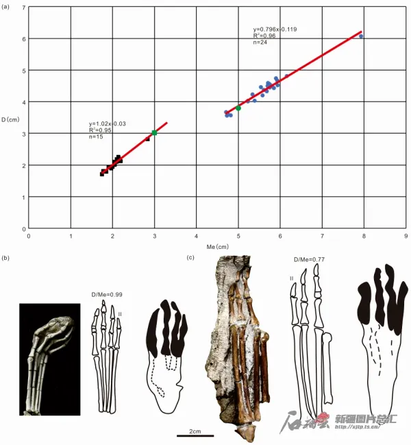 ��ѧ���״η����ڶ��̵������������㼣���켣��
