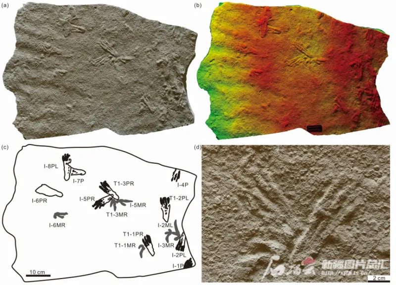 ��ѧ���״η����ڶ��̵������������㼣���켣��