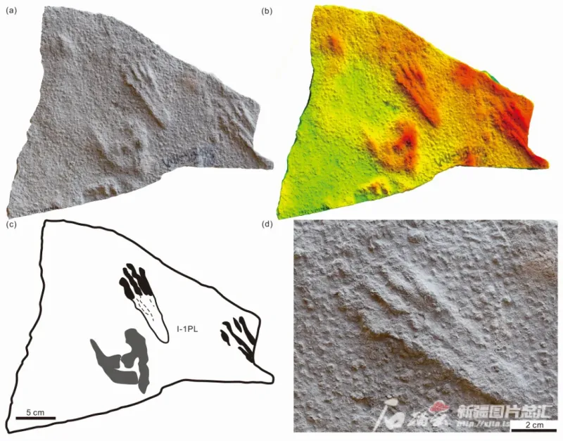 ��ѧ���״η����ڶ��̵������������㼣���켣��