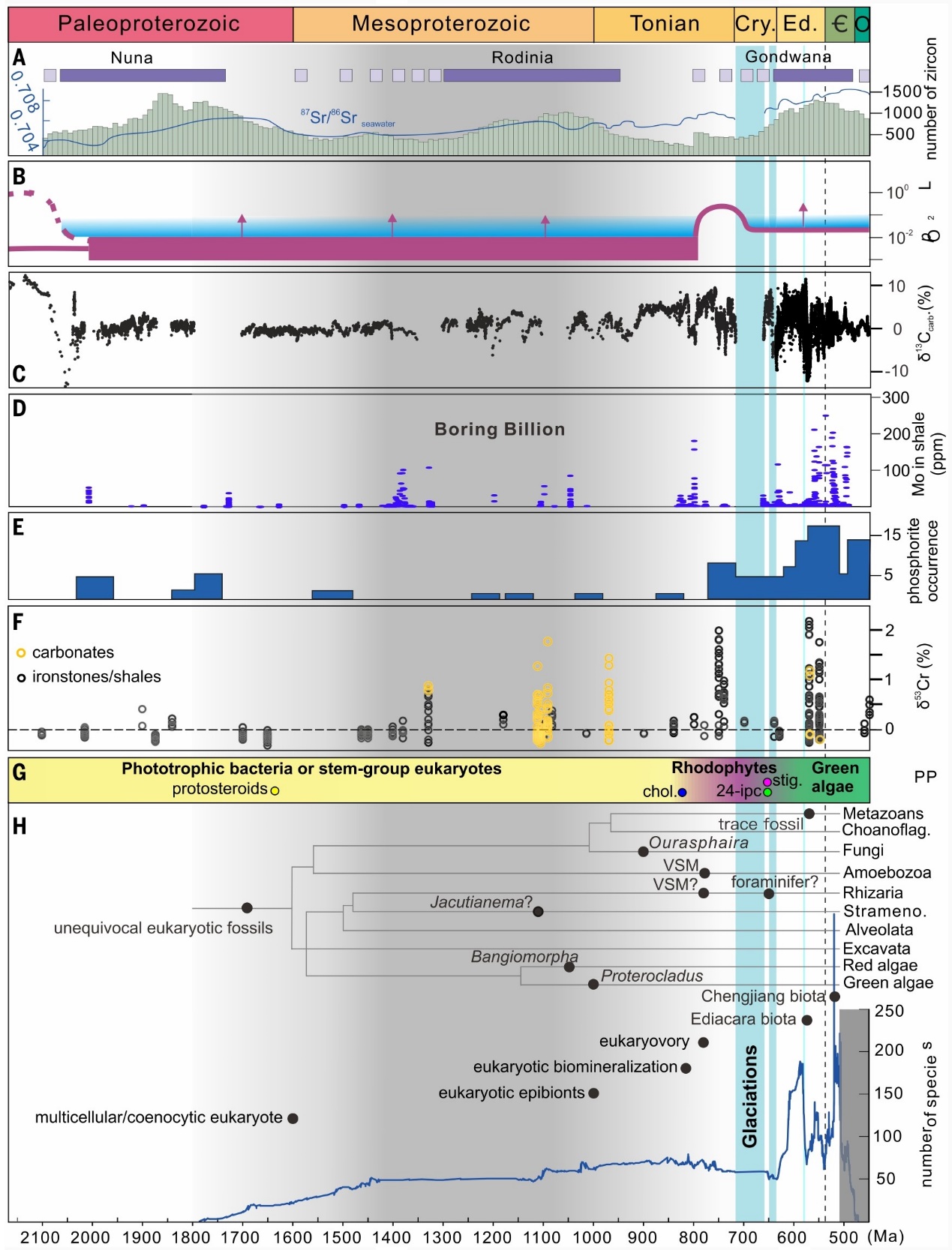 大数据定量揭示地球复杂生命早期演化的奥秘