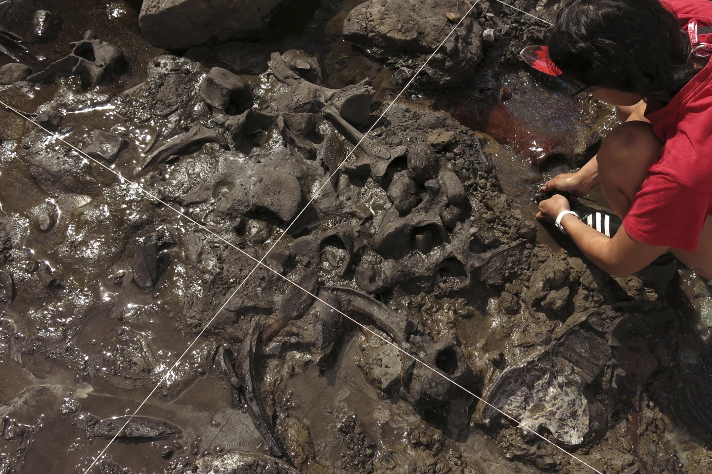 �·��ֱ����������������������������������������ǧ��