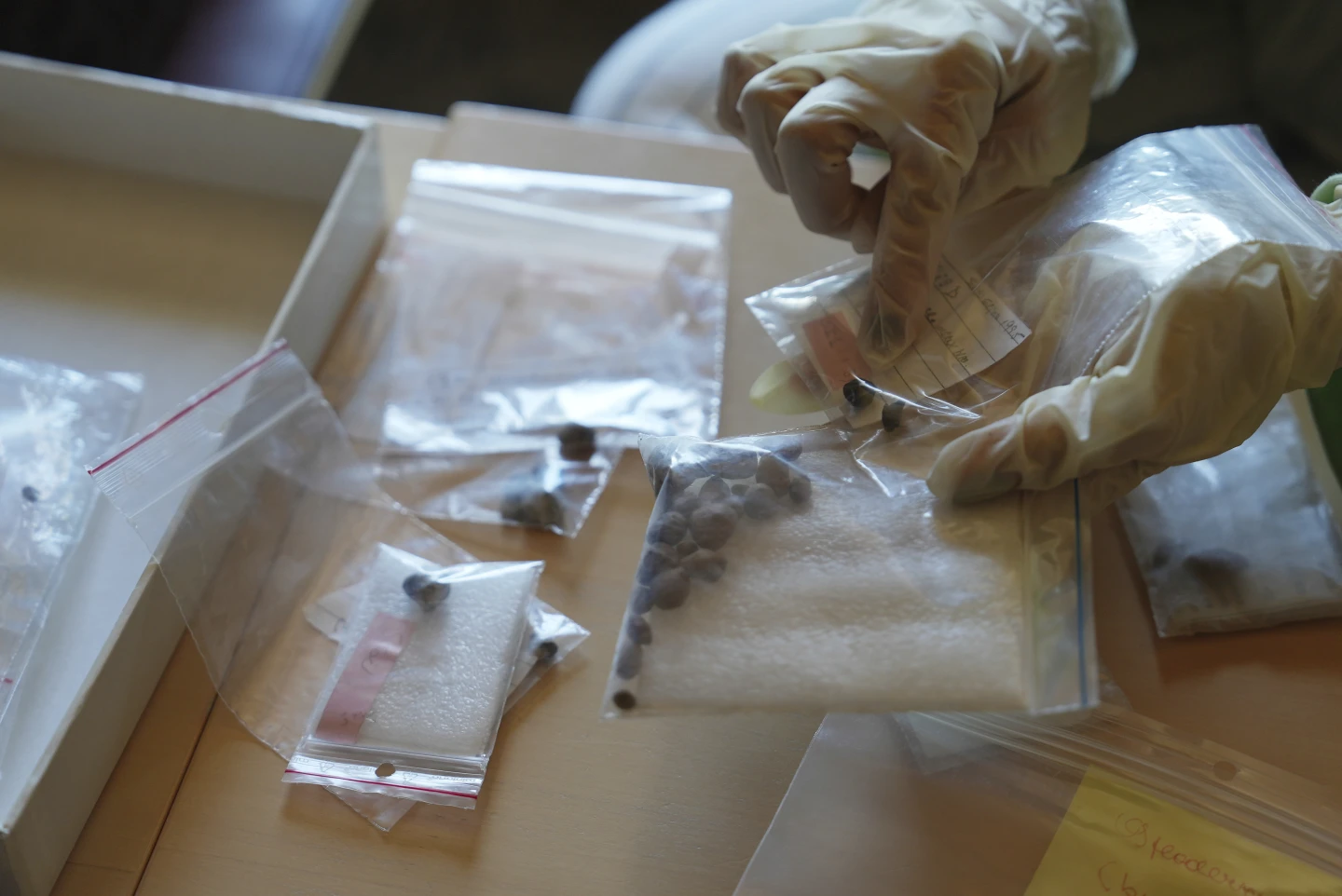 �·��ֱ����������������������������������������ǧ��