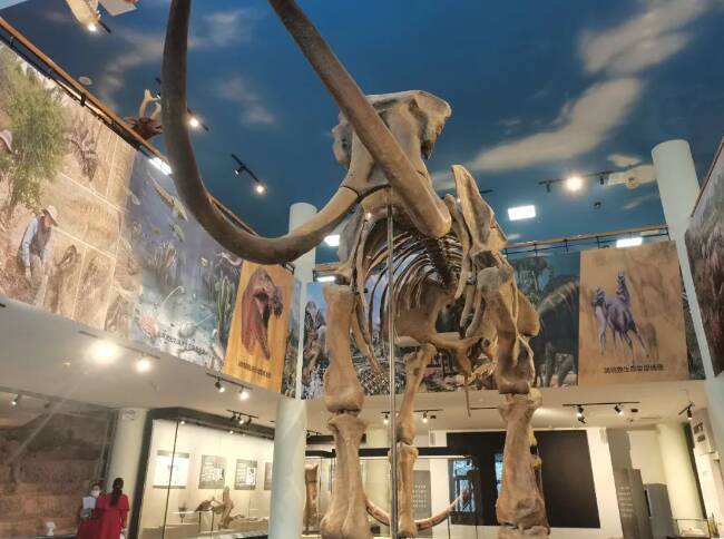 ��ʢ�����顪��Ϋ����ʯչ����Ϋ���в���ݿ�չ