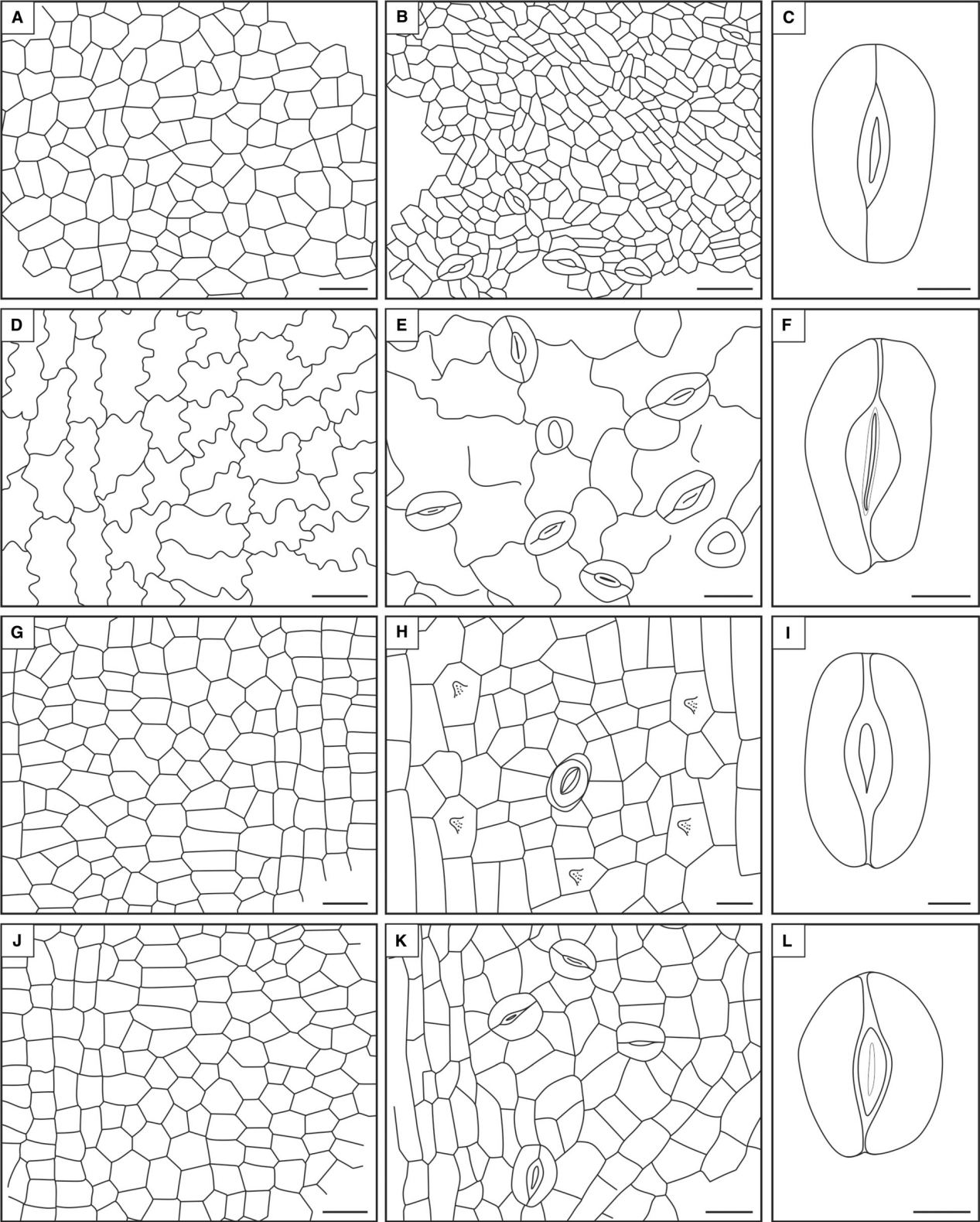 ֲ￪ͨĿ֧ϵ-Ҷȫϵͳѧ嶨о