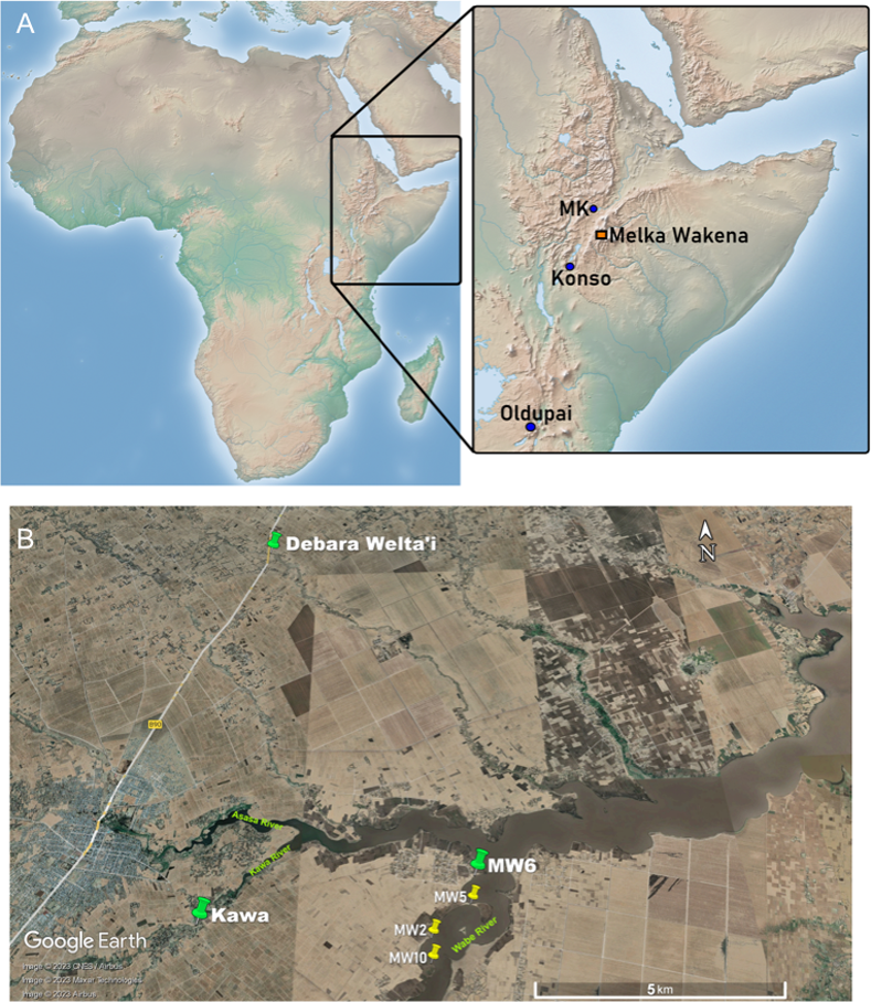 埃塞俄比亚高地研究考察了早期人类历史中石器决策过程