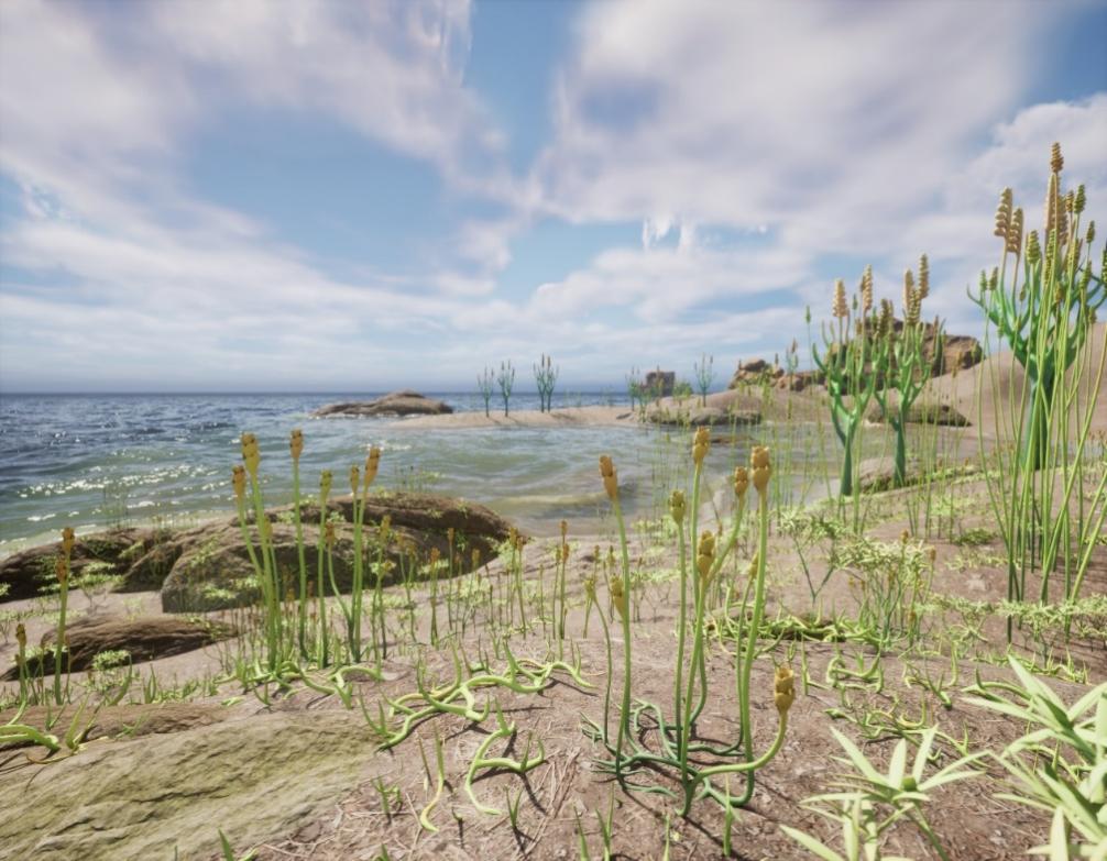 ������С��ާ��ֲ���ʾ��ާ�������ʷ���Էֻ�