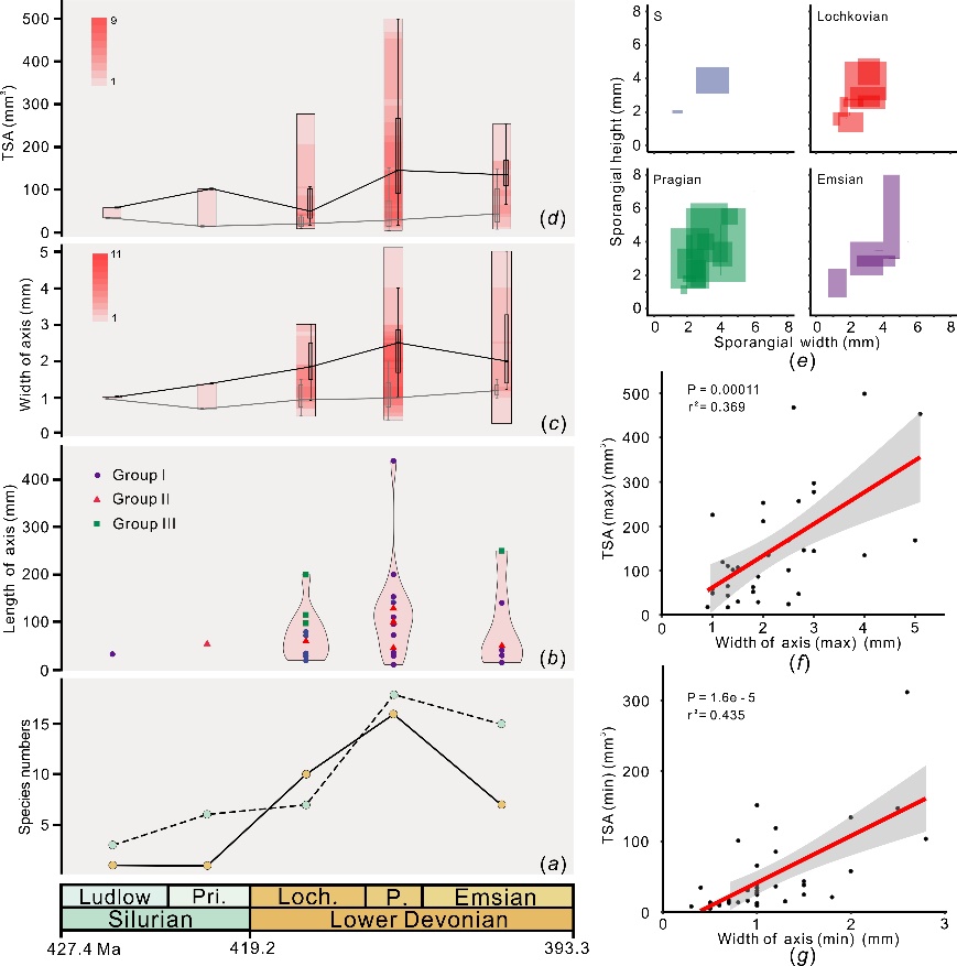 ������С��ާ��ֲ���ʾ��ާ�������ʷ���Էֻ�