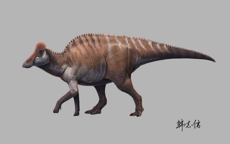 华南地区首次发现赖氏龙类恐龙