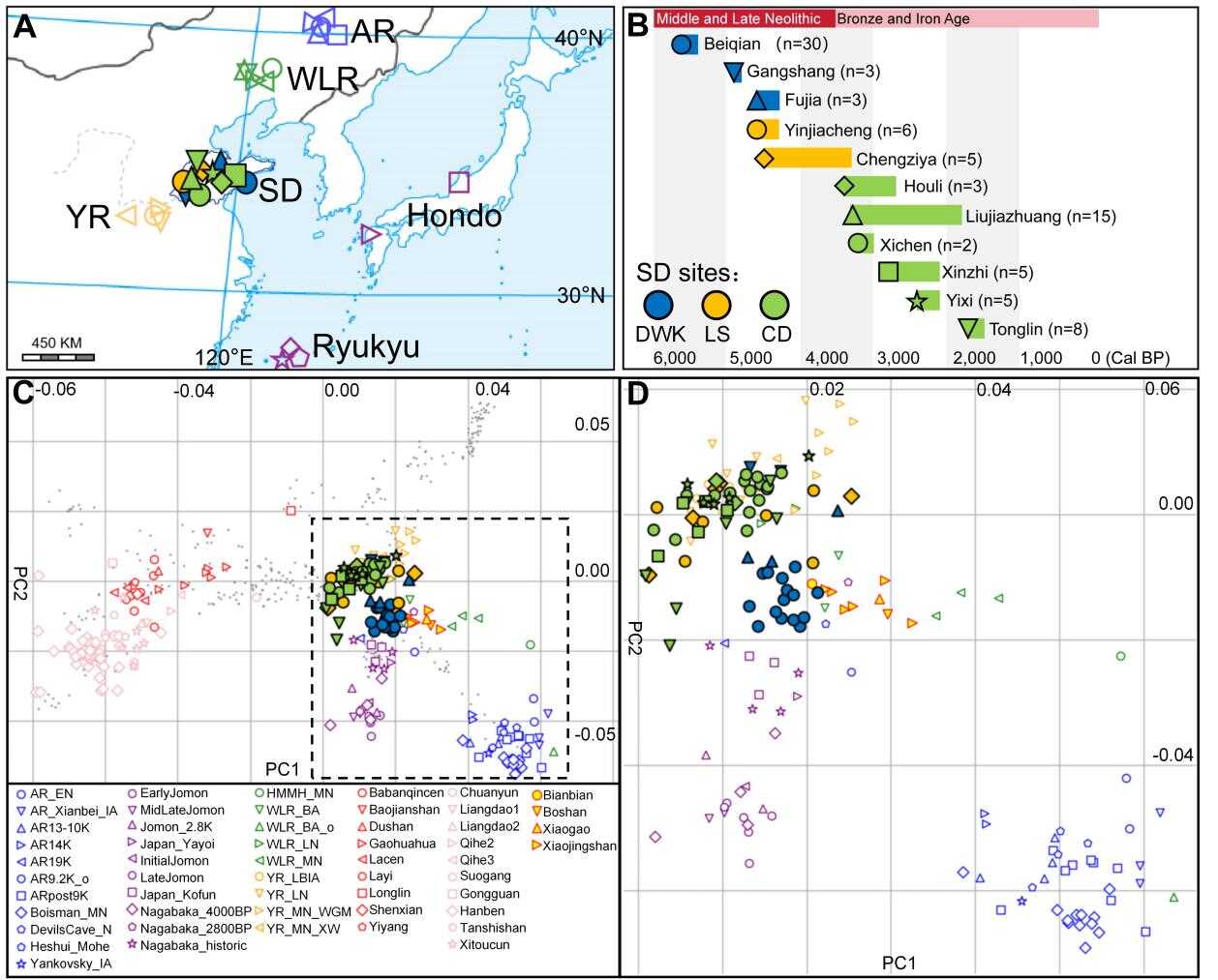 ���Ǳ����غ����ܱߵ�������Ⱥ�Ķ�̬�Ŵ�������ʷ
