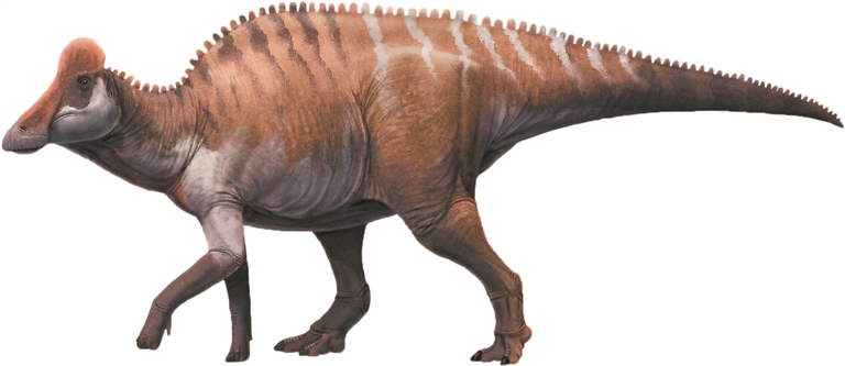 ������������Ư�ǡ�