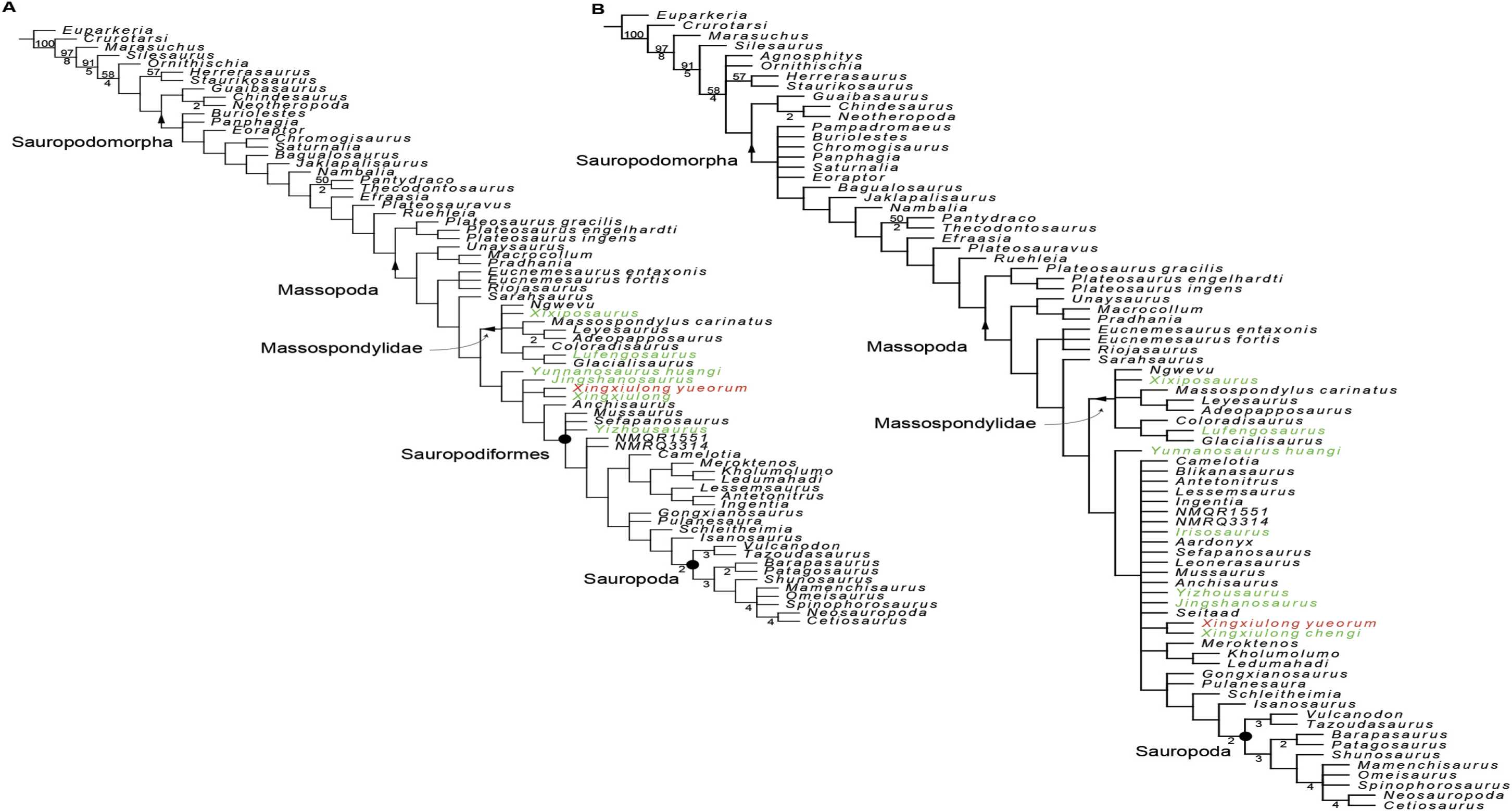 ����»�ᷢ����٪�����������һ���֡�������������