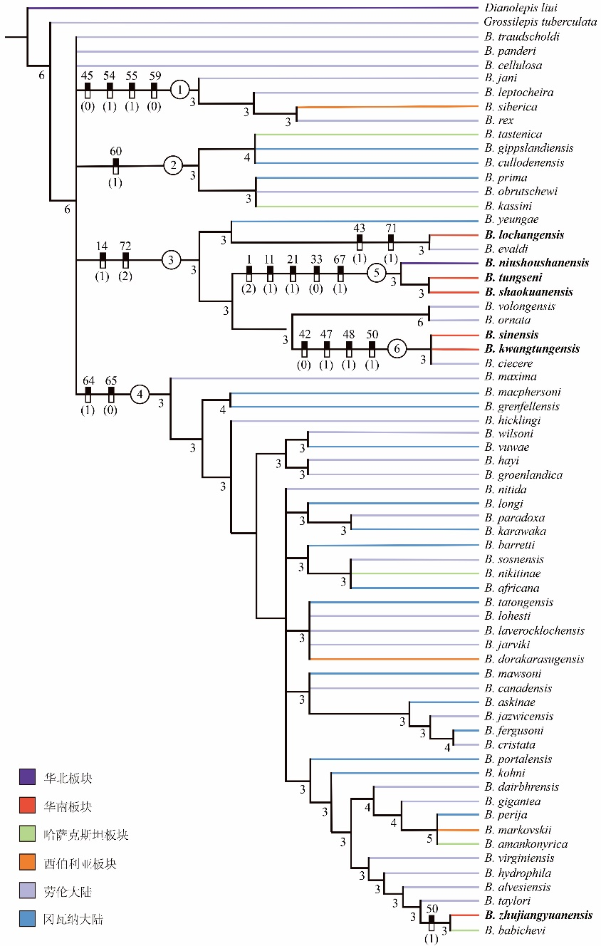 �����������������³�Ա���齭Դͷ��ʽ�����ĵ�һ�㡪���齭Դ�����㣨Bothriolepis zhujiangyuanensis��