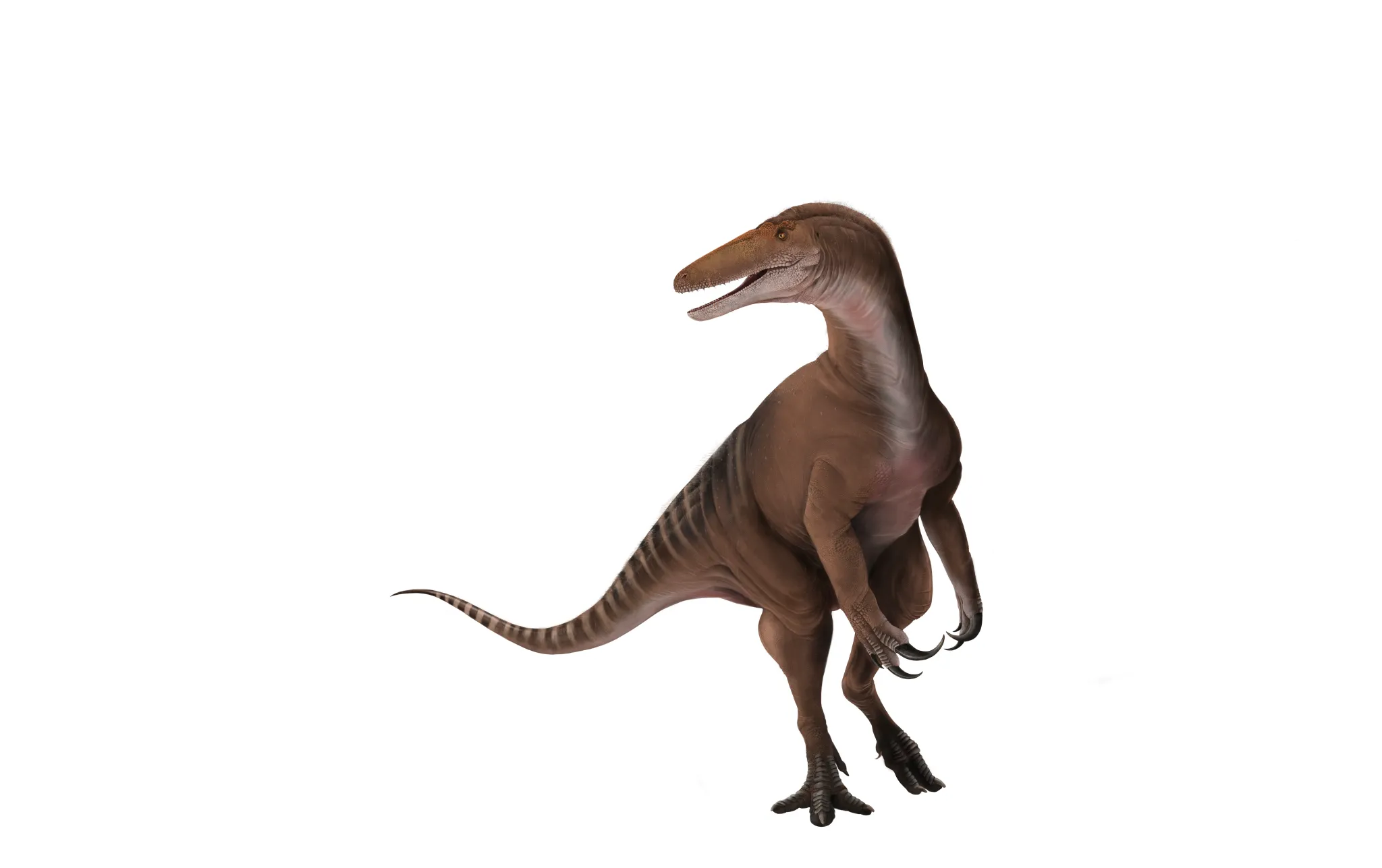 һֻ20Ӣ߳ġݡĽӽĴ