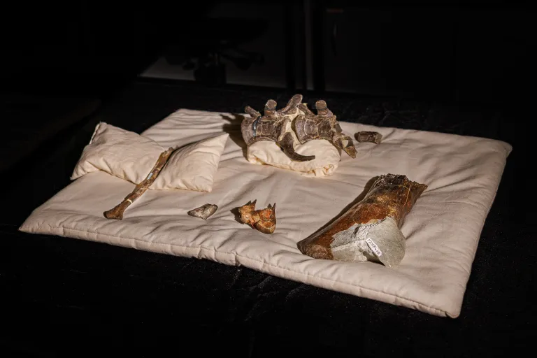 һֻ20Ӣ߳ġݡĽӽĴ