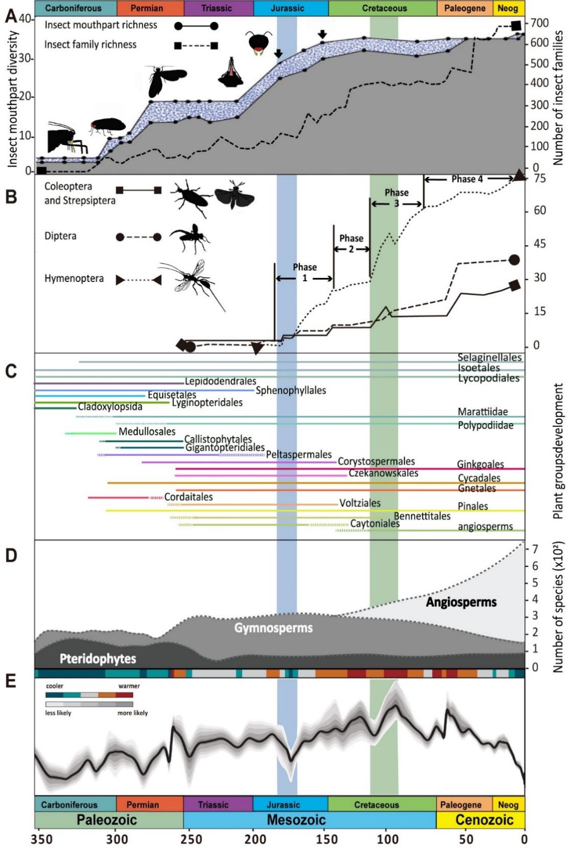 �����о���ʾ�����ִ�ֲʳģʽ�ڱ���ֲ��ʱ��֮ǰ��Դ