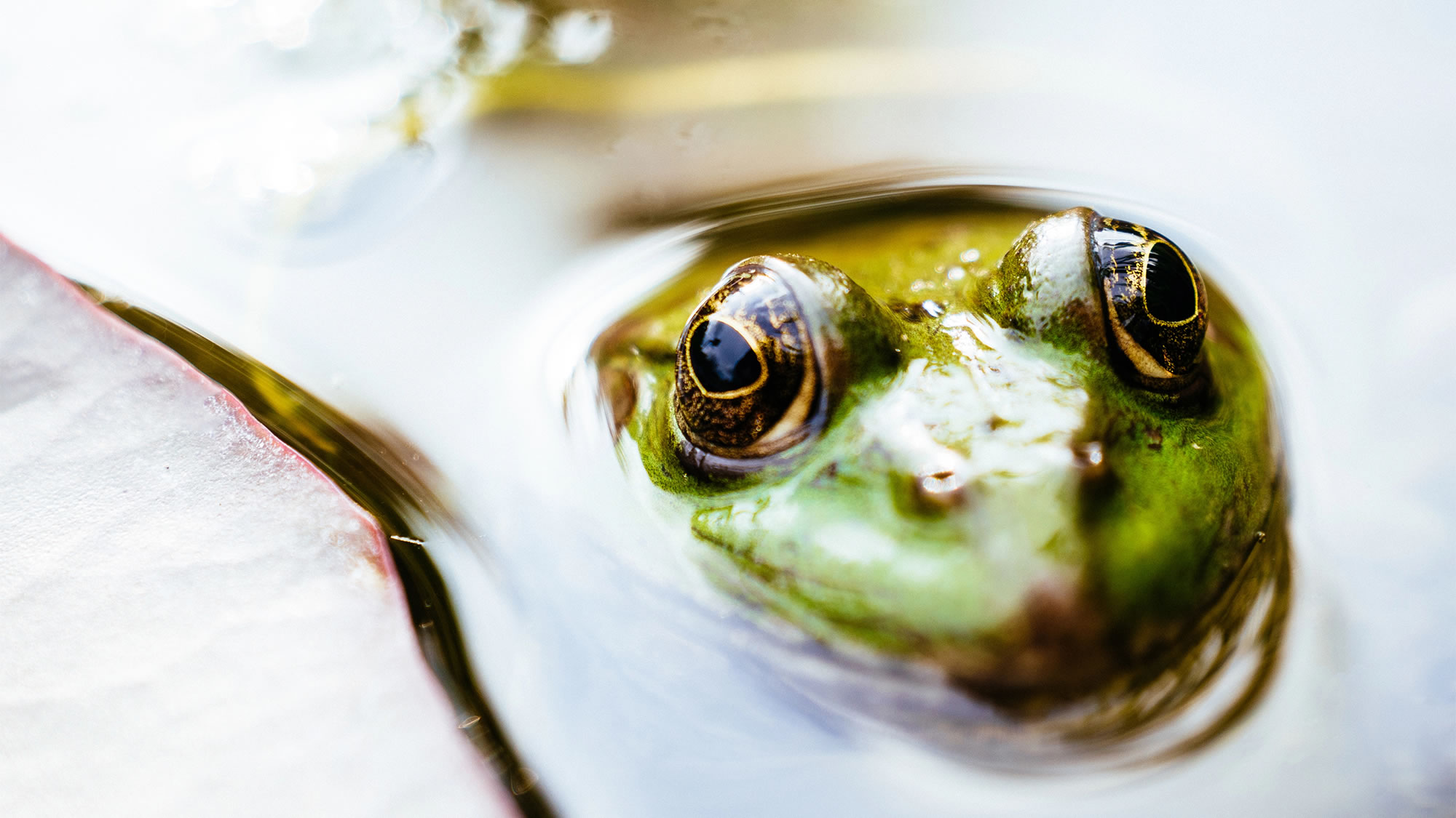 ����ġ������������80-90%������������һЩ���ܶ�������δ��������