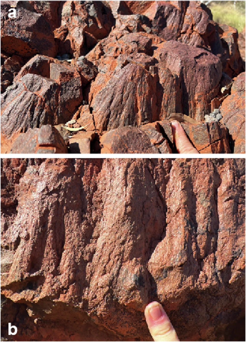 ϵײӸոڰĴǱ֣ǵѧϣĵط