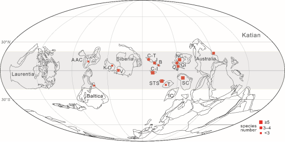 阿盖特珊瑚分类研究取得重要进展