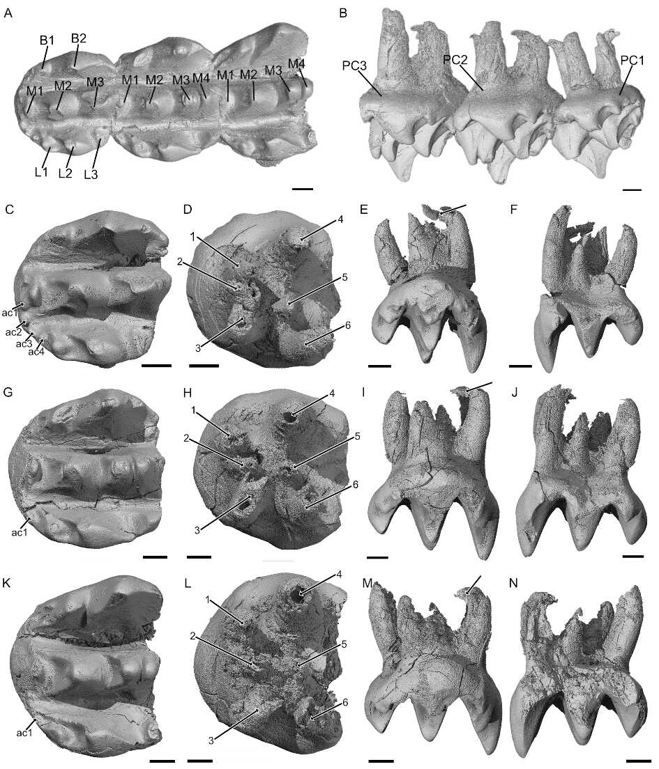 СԬ���޵����о������г��޳ݼ�ͬԴ�Ժ����-���ݻ���̽��