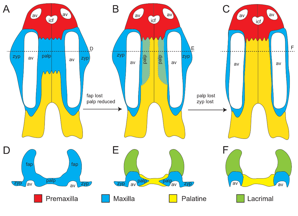 СԬ���޵����о������г��޳ݼ�ͬԴ�Ժ����-���ݻ���̽��