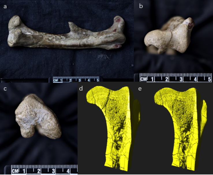 Ӧ�����ѧϰ�����ؽ��Ⱥ�������֯�ṹ���о��½�չ