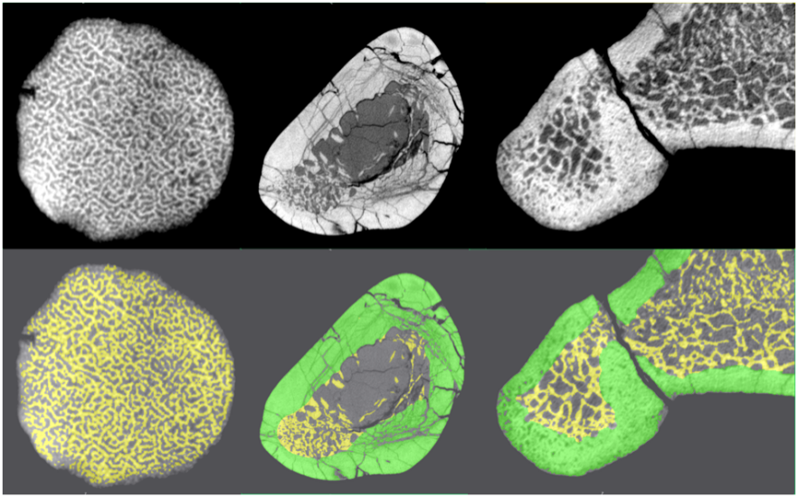 Ӧ�����ѧϰ�����ؽ��Ⱥ�������֯�ṹ���о��½�չ