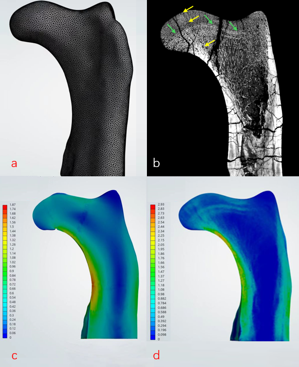 Ӧ�����ѧϰ�����ؽ��Ⱥ�������֯�ṹ���о��½�չ