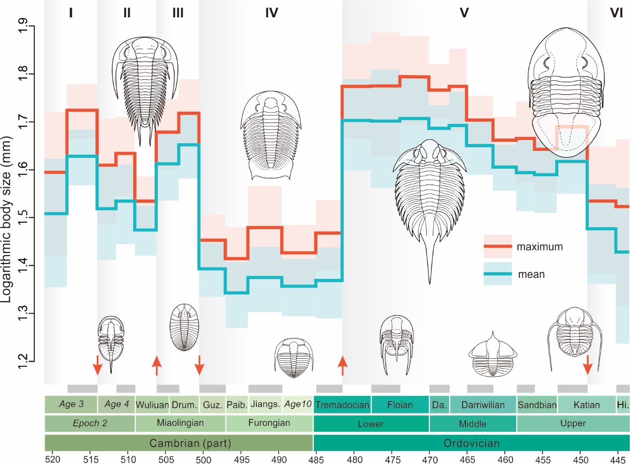 ��������������Ҷ���С�ݻ�