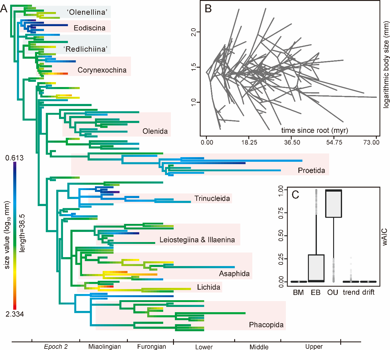��������������Ҷ���С�ݻ�