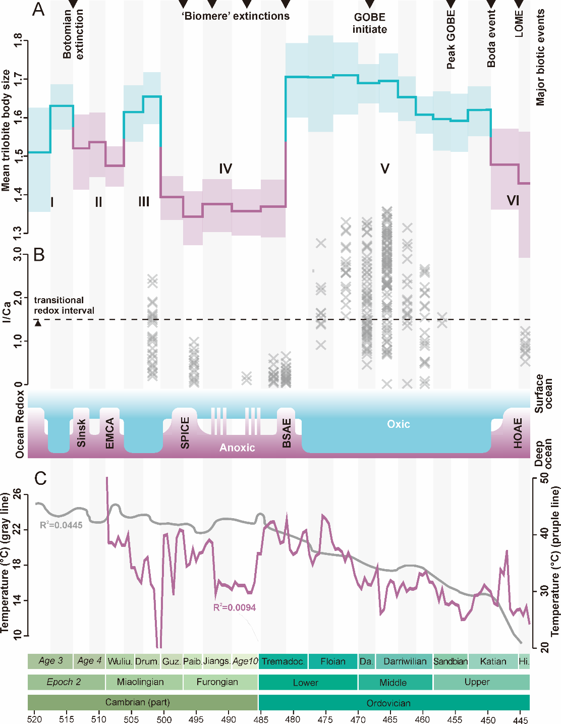 ��������������Ҷ���С�ݻ�