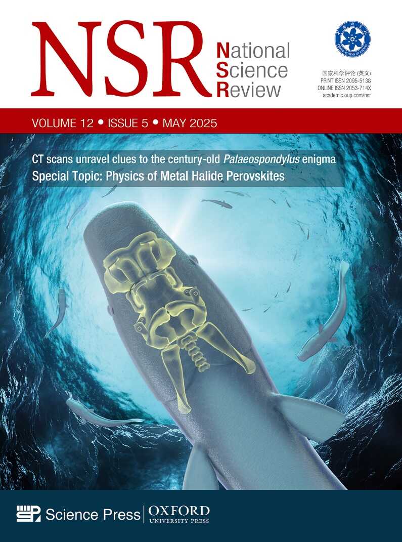 �ż�׵�����ݻ������еġ����ࡱ���а��Ŷӽ�ʾ��׵���ݻ�֮��