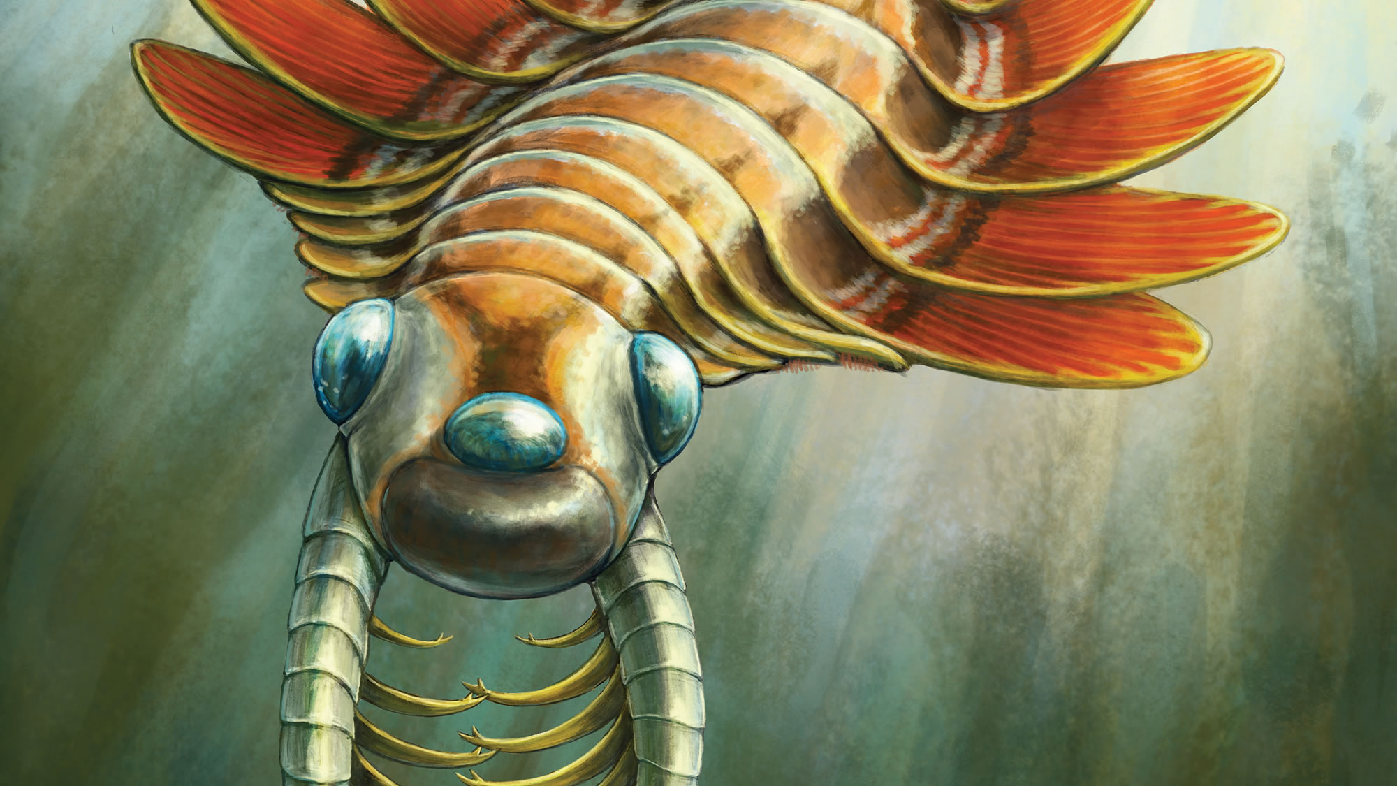 5.06����ǰ���ۡ����ꡱ��ƨ�ɺ���