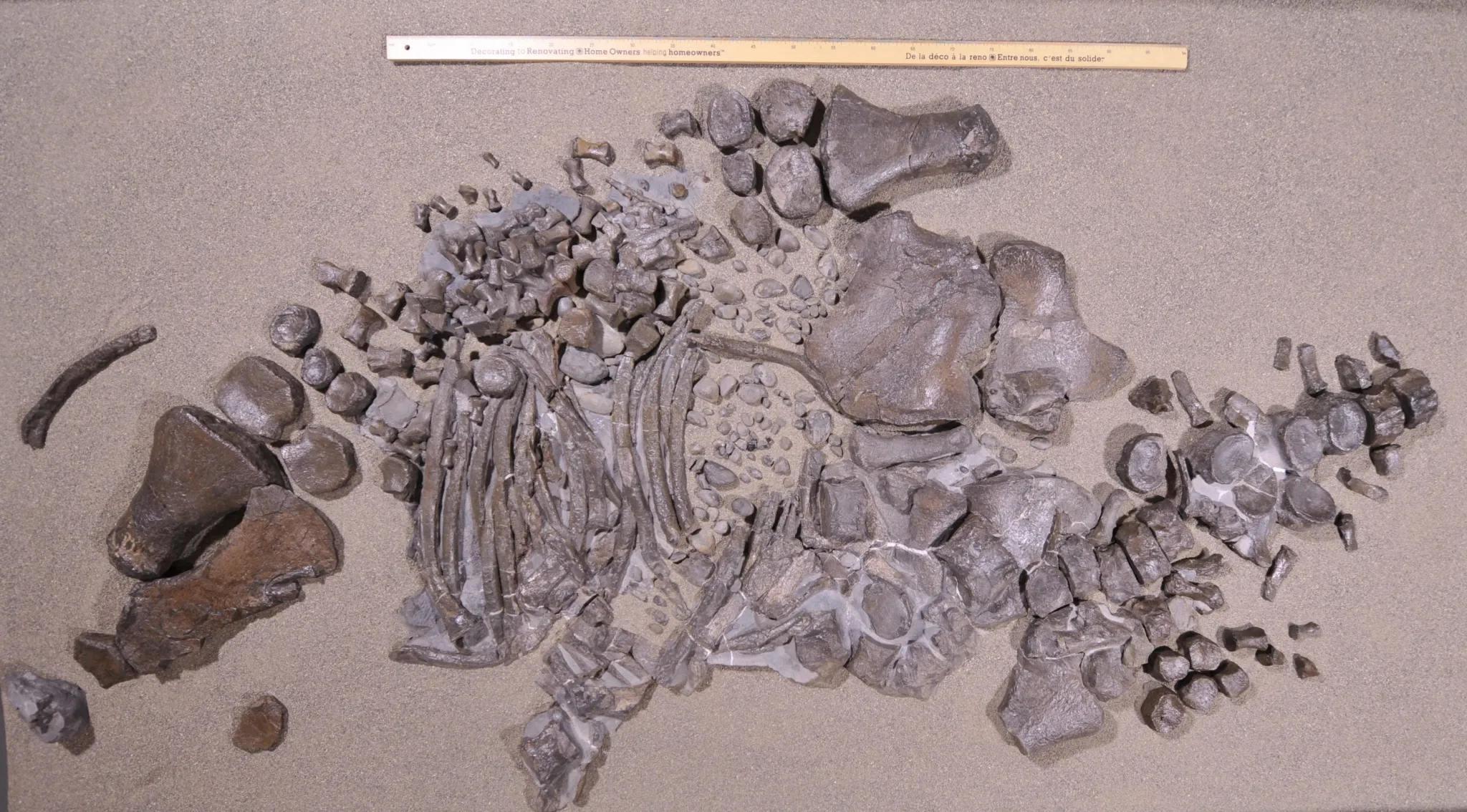 ���ǳ���֡���40Ӣ�߳��ĺ������ж�������Ǳ��ʷǰ���ô�