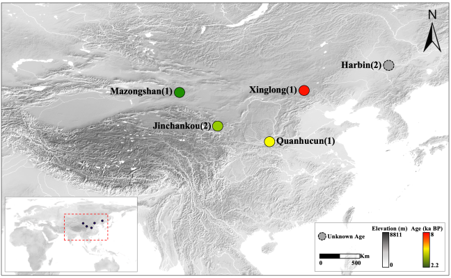 ��DNA�о���ʾ���ǻ���ĸϵ�Ŵ���ʷ