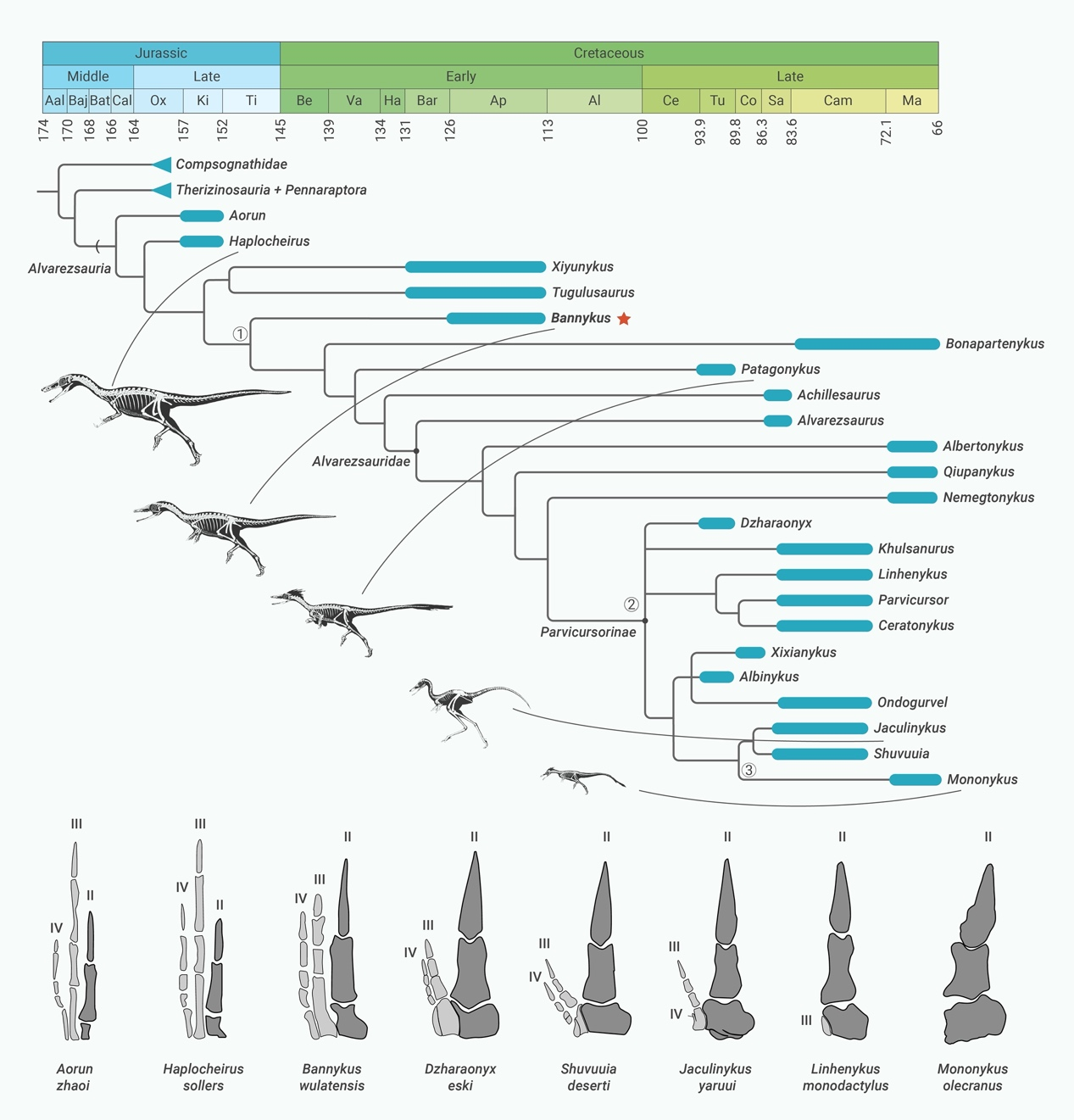 ذצʳ֤ݡǰ֫˻ʳ޹