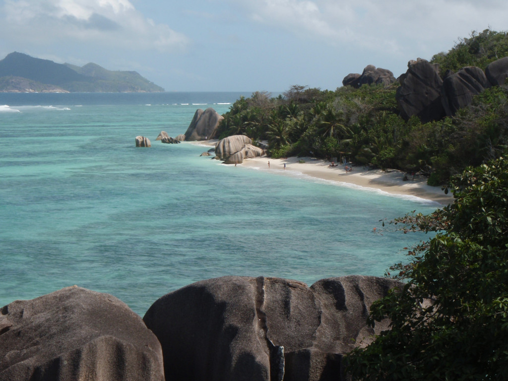 化石珊瑚表明,在全球变暖的情况下,海平面可能会上升得更陡