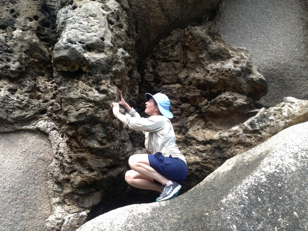 化石珊瑚表明,在全球变暖的情况下,海平面可能会上升得更陡