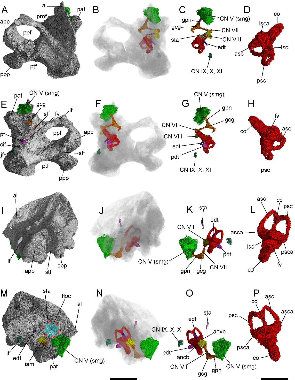 ���������Ʊ�������­�о���ϵͳ�о��½�չ