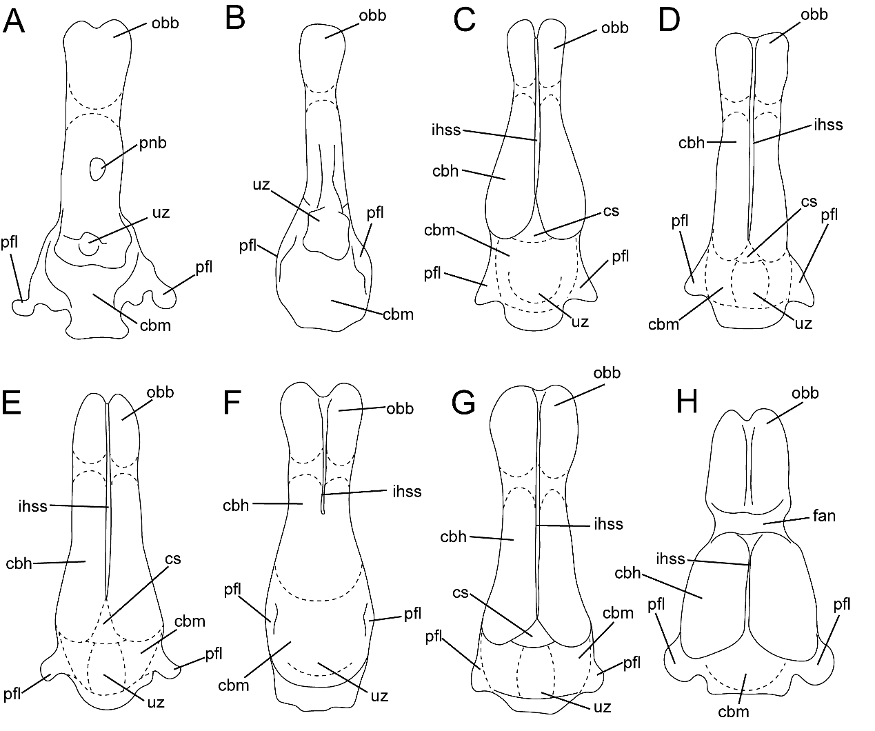 ���������Ʊ�������­�о���ϵͳ�о��½�չ