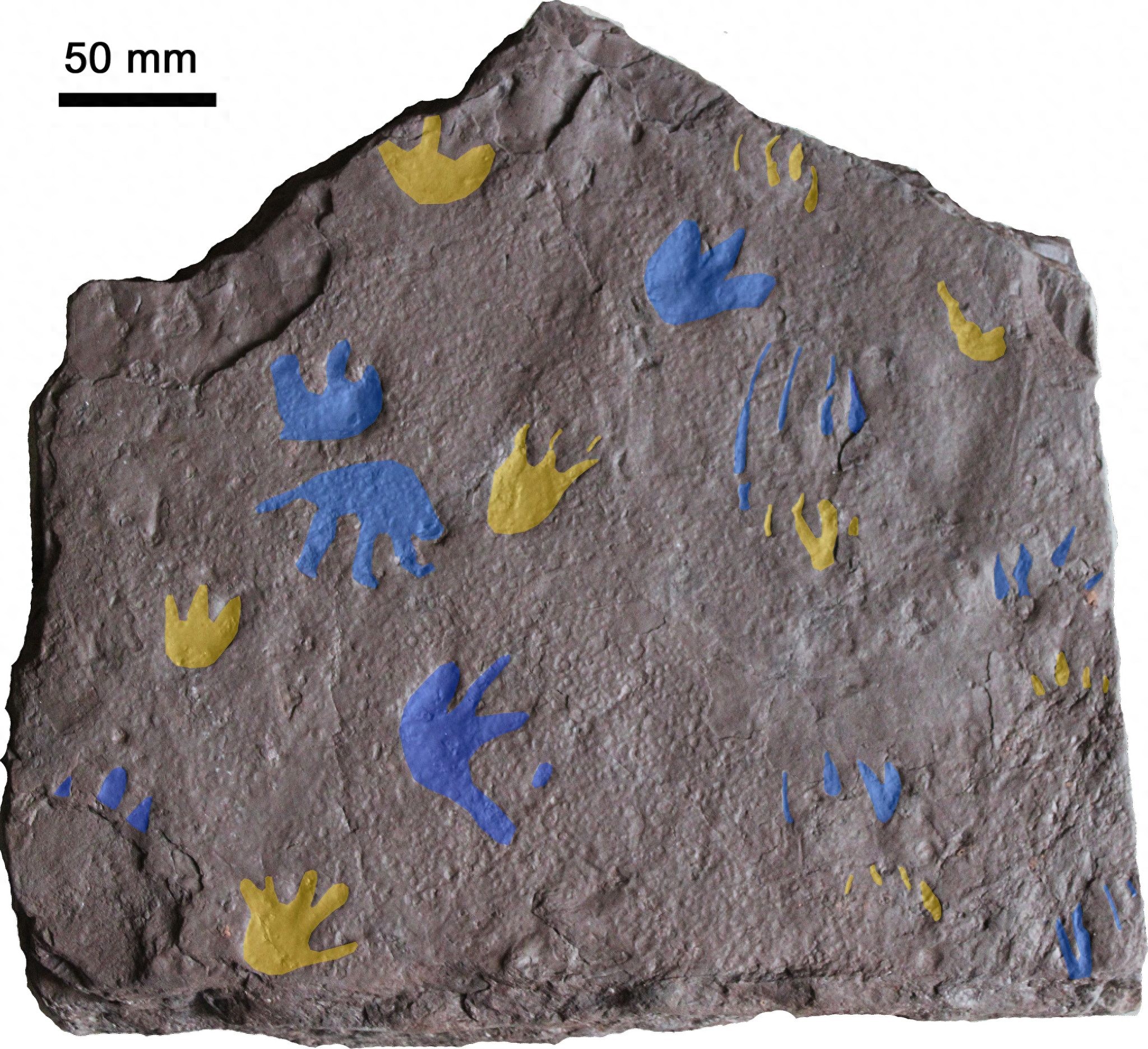 ���԰Ĵ����ǵ��㼣�������ж���Ľ���ʱ����ܱ������������3500����