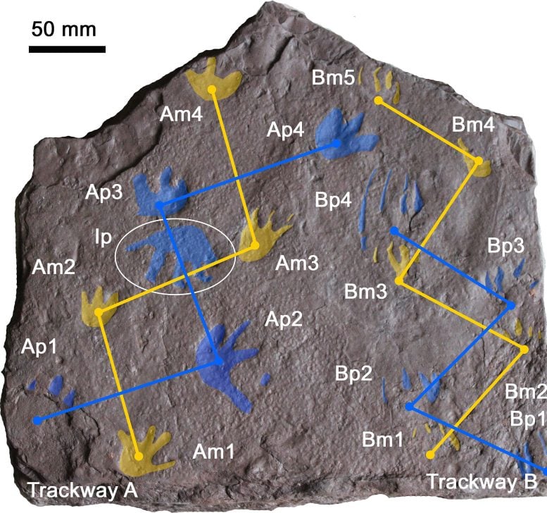 ���԰Ĵ����ǵ��㼣�������ж���Ľ���ʱ����ܱ������������3500����